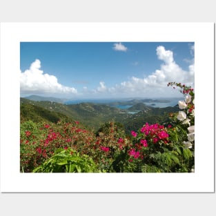 Coral Bay - St. John - US Virgin Islands Posters and Art